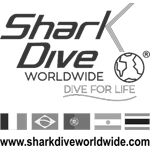 Shark-Dive