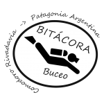 Bitacora